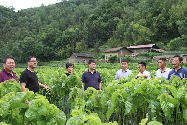 安康市商務(wù)局領(lǐng)導(dǎo)來我公司調(diào)研春蠶收購及扶貧點(diǎn)蠶?；亟ㄔO(shè)情況